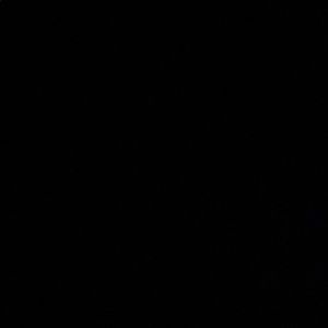 Meet your Posher, Anxhela